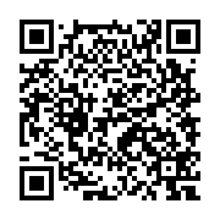 QR code for plate UZN 119