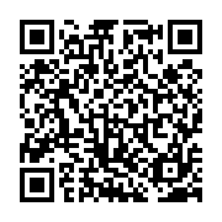 QR code for plate VAO 517