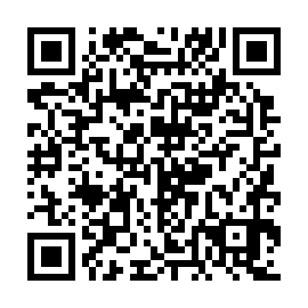 QR code for VDD 370