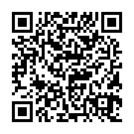 QR code for VDE 965