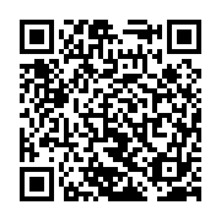 QR code for VDU173