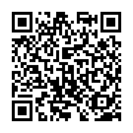 QR code for VEI 338