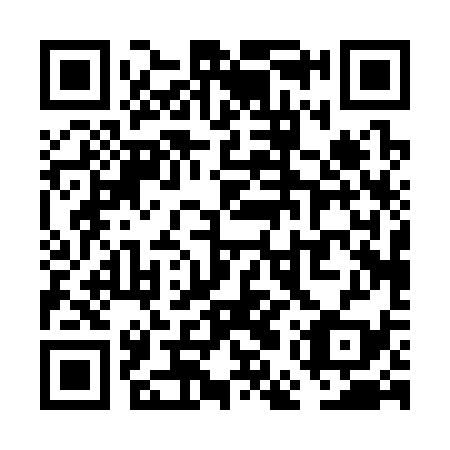 QR code for VEP 339