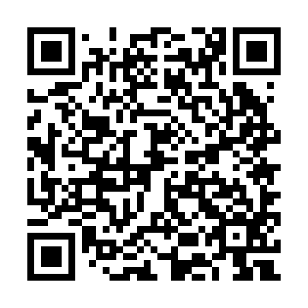 QR code for VEU 296