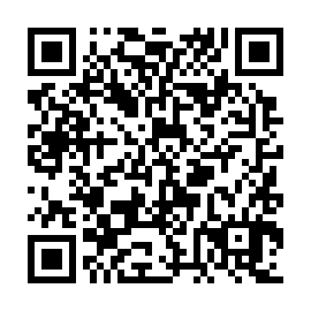 QR code for VFD 384