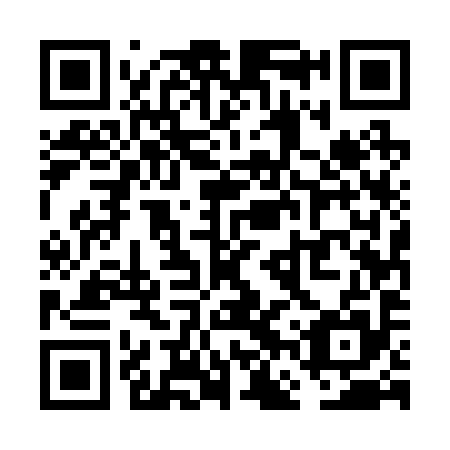 QR code for VFU 295
