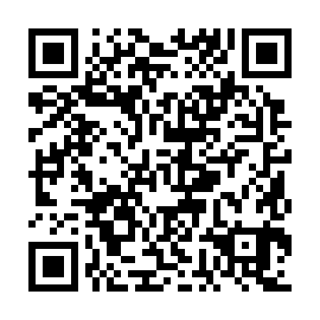 QR code for VGA 381