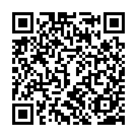 QR code for plate VGS 300