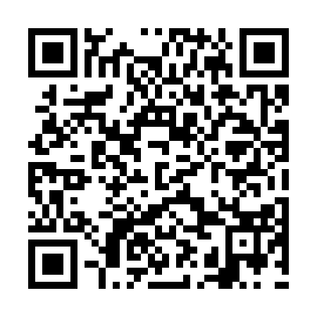 QR code for VID313