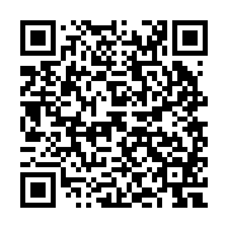 QR code for plate VIR 284