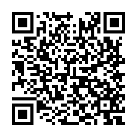 QR code for plate VIU 957