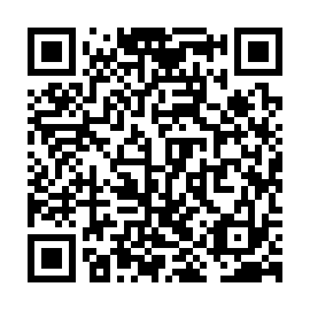 QR code for plate VIY 333