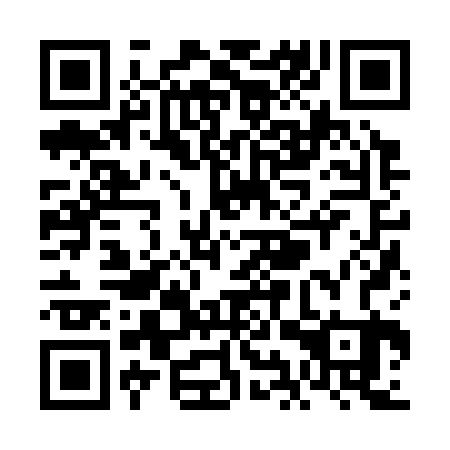 QR code for VIZ 323