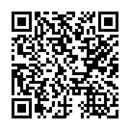 QR code for VIZ991