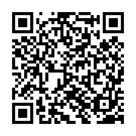 QR code for VJN 453