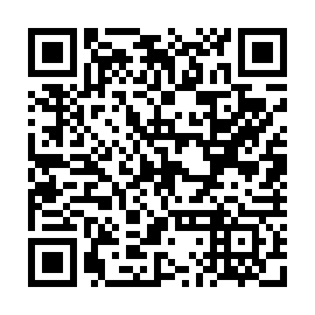 QR code for VLG 463