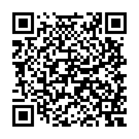 QR code for plate VNE 581
