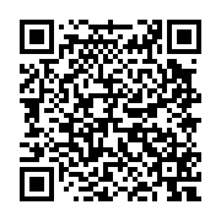 QR code for plate VNI 055