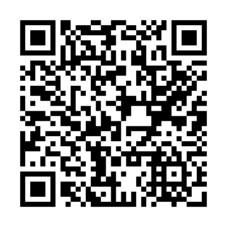 QR code for plate VNS 365