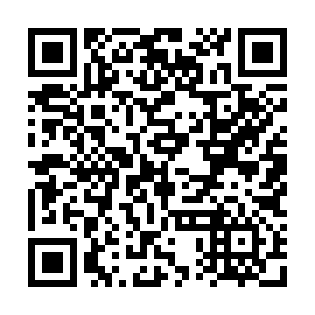 QR code for plate VPM 396
