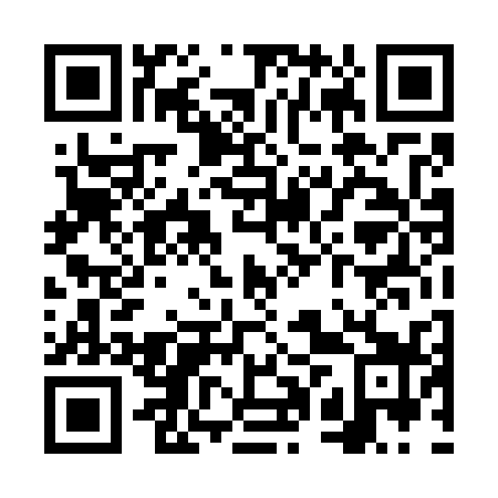QR code for VPT739