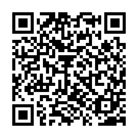 QR code for plate VQE 303
