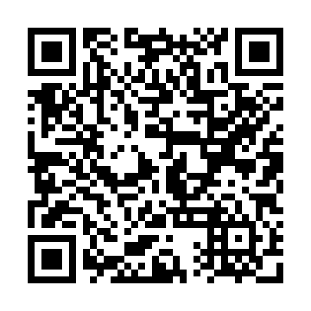 QR code for VQL 384