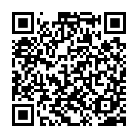 QR code for VSS 741