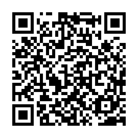 QR code for plate VSX 965