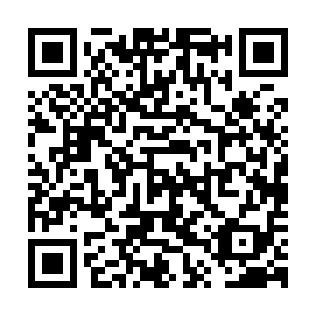 QR code for VTP 919