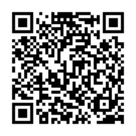 QR code for VUI 333