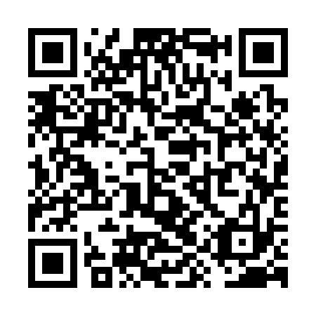 QR code for VYS333