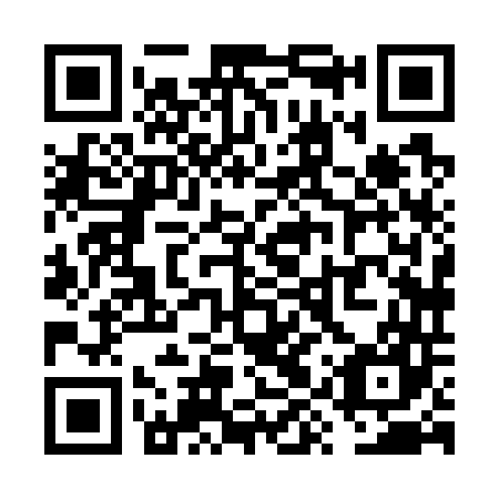 QR code for VYX 747