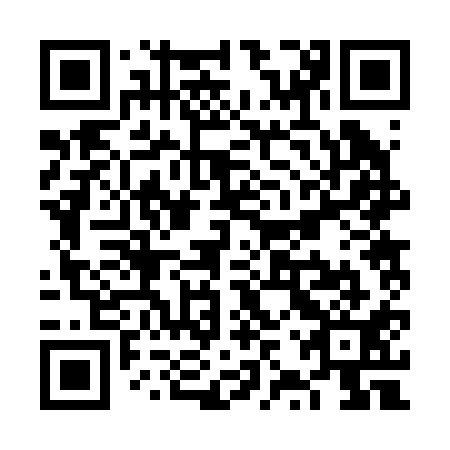 QR code for plate VZR 211