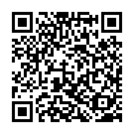 QR code for plate WDB 229