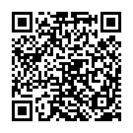 QR code for plate WFB 452