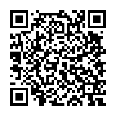 QR code for plate WFN 462