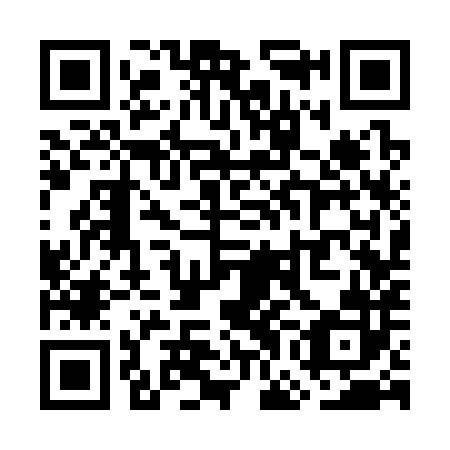 QR code for WGC 382