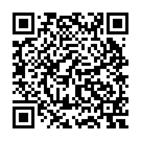 QR code for WGK 291