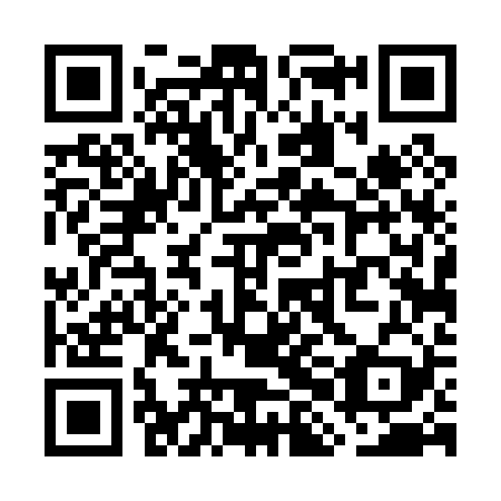 QR code for plate WHD 029