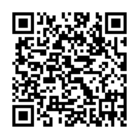 QR code for WIP311