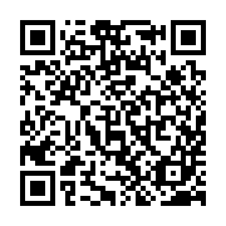 QR code for plate WKQ 383