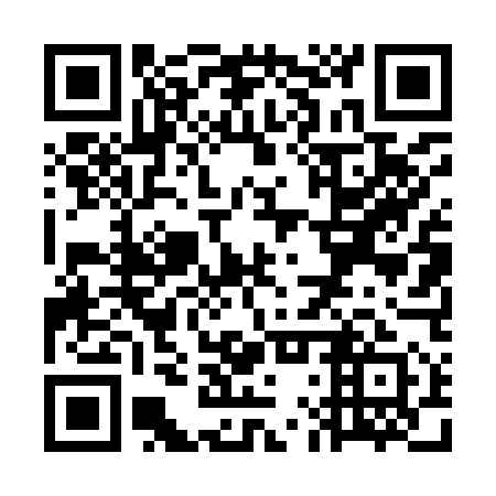 QR code for WLT951