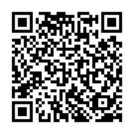 QR code for WLU 738