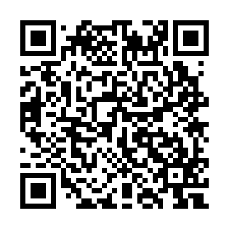 QR code for plate WNK 397