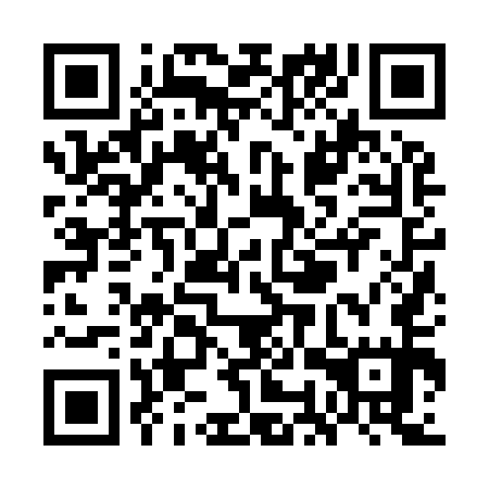 QR code for WOZ 955