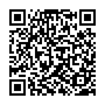 QR code for WPF202