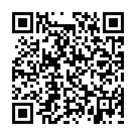 QR code for plate WPL 955