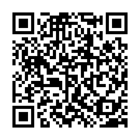 QR code for plate WPU 339