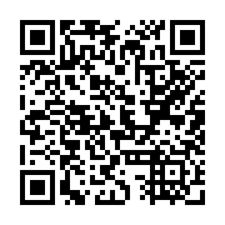 QR code for WSA383